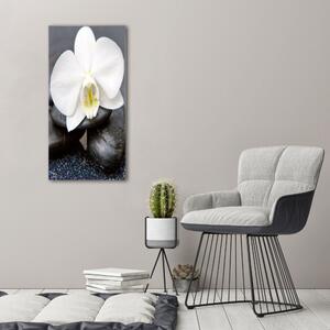 Vertikální Foto obraz na plátně Orchidej a kameny ocv-143014442