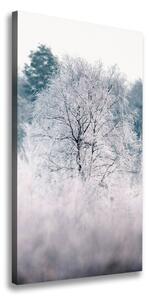 Vertikální Vertikální Foto obraz na plátně do obýváku Les zima ocv-142936706