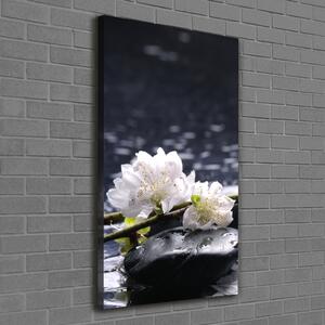 Vertikální Foto obraz na plátně Květiny a kamení ocv-14431033