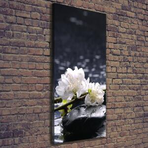 Vertikální Foto obraz na plátně Květiny a kamení ocv-14431033