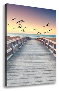 Vertikální Foto obraz na plátně Stezka na pláž ocv-145484652