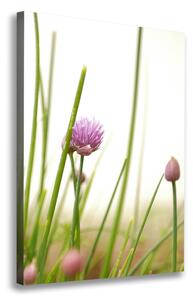Vertikální Foto obraz na plátně Květ pažitky ocv-146011215