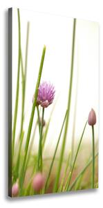 Vertikální Foto obraz na plátně Květ pažitky ocv-146011215
