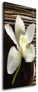 Vertikální Vertikální Foto obraz na plátně do obýváku Orchidej ocv-14760003