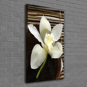 Vertikální Vertikální Foto obraz na plátně do obýváku Orchidej ocv-14760003
