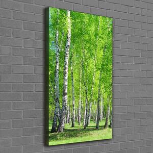 Vertikální Foto obraz canvas Břízový les ocv-155145245
