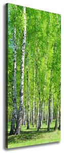 Vertikální Foto obraz canvas Břízový les ocv-155145245