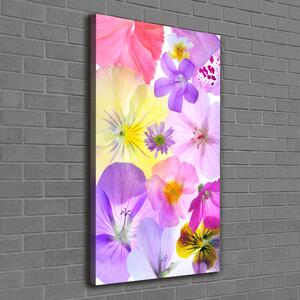 Vertikální Foto obraz na plátně Barevné květiny ocv-161285503