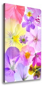 Vertikální Foto obraz na plátně Barevné květiny ocv-161285503