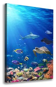 Vertikální Foto obraz na plátně Korálový útes ocv-161347812