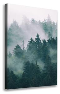 Vertikální Foto obraz na plátně Mlha nad lesem ocv-167720092
