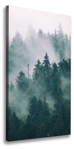 Vertikální Foto obraz na plátně Mlha nad lesem ocv-167720092