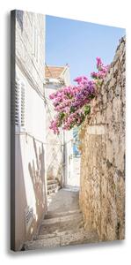 Vertikální Foto obraz na plátně Korčula Chorvatsko ocv-169820518