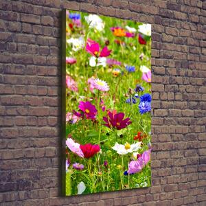 Vertikální Foto obraz canvas Polní květiny ocv-169402975