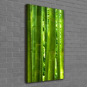 Vertikální Moderní fotoobraz canvas na rámu Bambus ocv-17587007