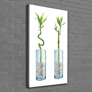 Vertikální Foto obraz na plátně Bambus v květináči ocv-178935342