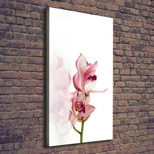 Vertikální Foto obraz na plátně Růžová orchidej ocv-18886978