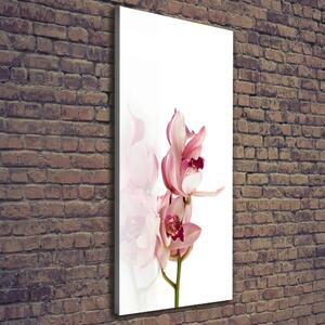 Vertikální Foto obraz na plátně Růžová orchidej ocv-18886978