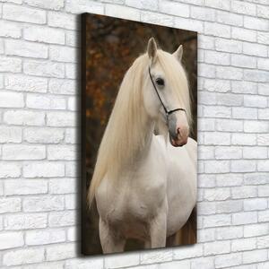 Vertikální Vertikální Foto obraz na plátně do obýváku Bílý kůň ocv-20279247