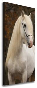 Vertikální Vertikální Foto obraz na plátně do obýváku Bílý kůň ocv-20279247