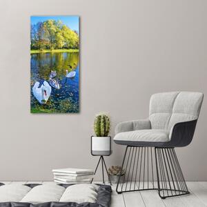 Vertikální Foto obraz na plátně Labutě na jezeře ocv-204130724