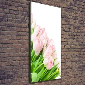 Vertikální Foto obraz na plátně Růžové tulipány ocv-22467427