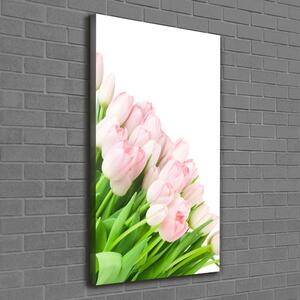 Vertikální Foto obraz na plátně Růžové tulipány ocv-22467427