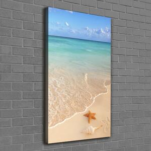 Vertikální Foto obraz na plátně Hvězdice na pláži ocv-23665929