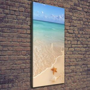 Vertikální Foto obraz na plátně Hvězdice na pláži ocv-23665929