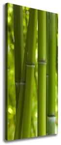 Vertikální Foto obraz na plátně Bambusový les ocv-24255297
