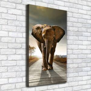 Vertikální Foto obraz na plátně Chodící slon ocv-25742331