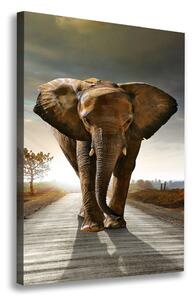 Vertikální Foto obraz na plátně Chodící slon ocv-25742331