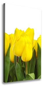 Vertikální Foto obraz na plátně Žluté tulipány ocv-2665979