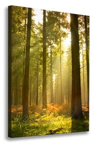 Vertikální Vertikální Foto obraz na plátně do obýváku Hezký les ocv-27621934