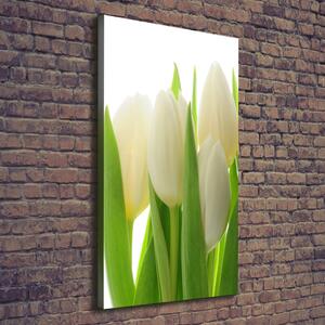Vertikální Foto obraz na plátně Bílé tulipány ocv-28819889