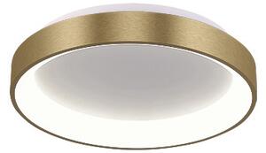 Led2 Stropní LED svítidlo BELLA SLIM ø 28 cm Barva: Kávová, Teplota světla: 2700K/3000K/4000K, Stmívání, řízení: ON/OFF (bez stmívání)