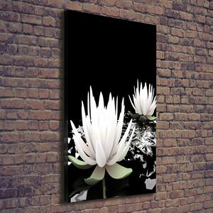 Vertikální Foto obraz canvas Květ lotosu ocv-31116780