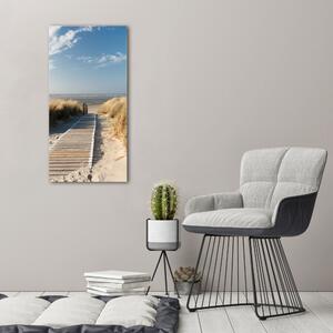 Vertikální Foto obraz na plátně Stezka na pláž ocv-31531037
