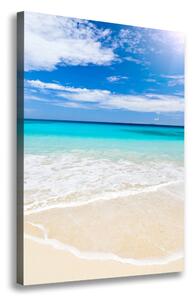 Vertikální Foto obraz na plátně Tropická pláž ocv-32914566