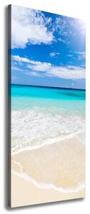 Vertikální Foto obraz na plátně Tropická pláž ocv-32914566