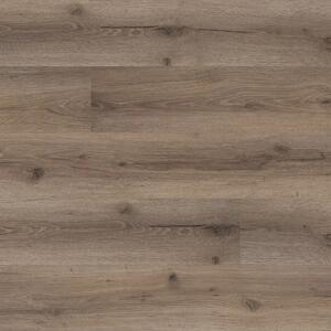 Floor Forever Bellissimo Click 0,5 Rigid Dub Rovio 6011