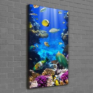 Vertikální Foto obraz canvas Korálový útes ocv-34733928