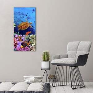 Vertikální Foto obraz canvas Korálový útes ocv-35544351