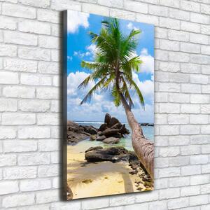 Vertikální Foto obraz na plátně Tropická pláž ocv-35559684