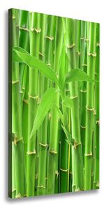 Vertikální Foto obraz na plátně Bambusový les ocv-36350386