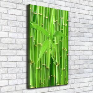 Vertikální Foto obraz na plátně Bambusový les ocv-36350386