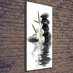 Vertikální Foto obraz na plátně Orchidej a kameny ocv-36696860
