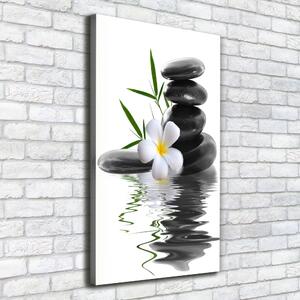 Vertikální Foto obraz na plátně Orchidej a kameny ocv-36696860
