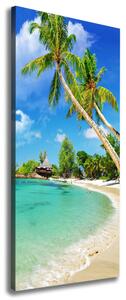 Vertikální Foto obraz na plátně Tropická pláž ocv-37245256