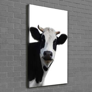 Vertikální Foto obraz canvas Flekatá kráva ocv-38327134